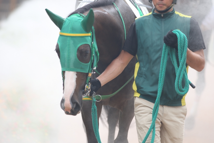 2023年9月 ガラクシア