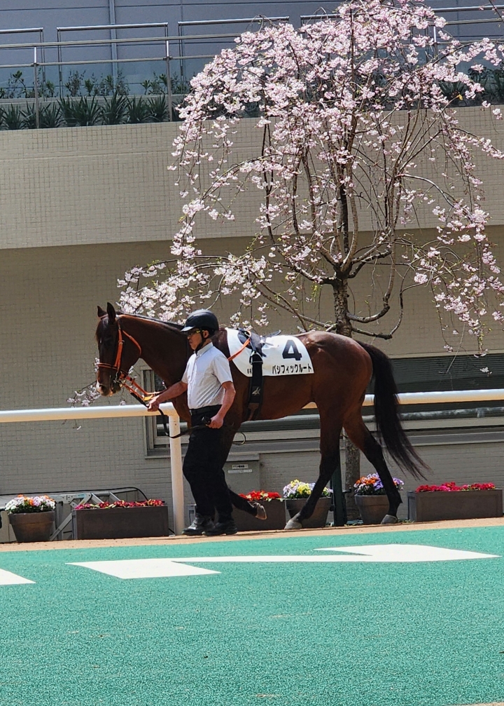 2025年4月 パシフィックルート
