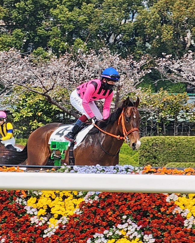 2025年4月 パシフィックルート