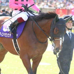 2024/5/5 NHKマイルカップ(G1)