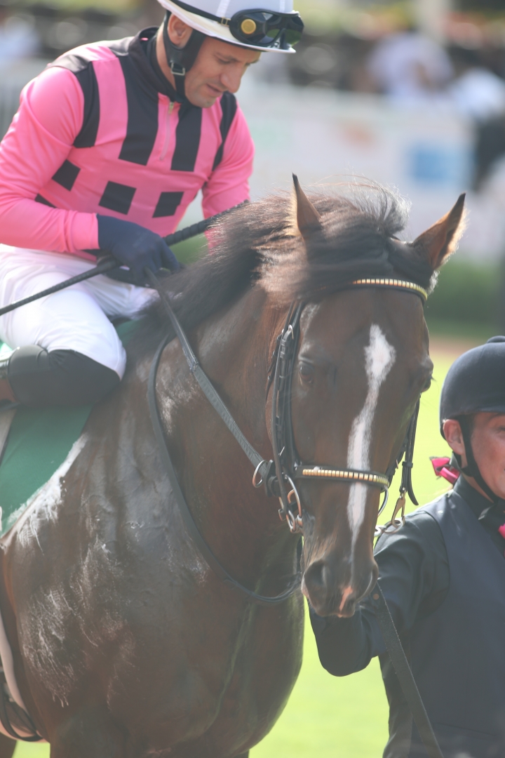 2024/8/11 関屋記念(G3) ディスペランツァ