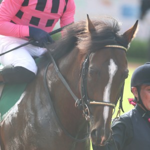 2024/8/11 関屋記念(G3)