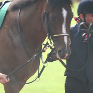 2024/8/11 関屋記念(G3)