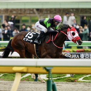 2025/4/26 鎌倉S(3勝クラス)