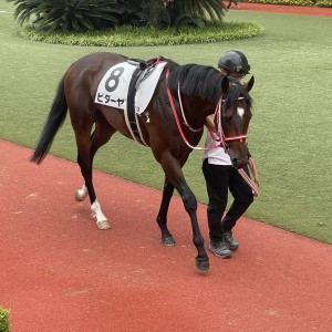 2024/6/29 3歳以上1勝クラス