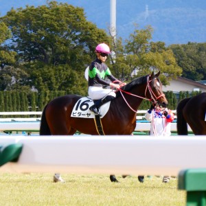 3歳新馬　本馬場入場