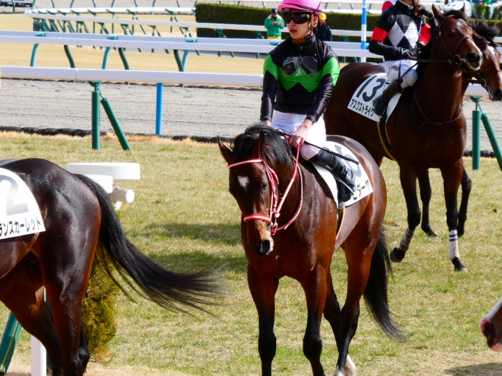 3歳新馬戦　レース後 ビダーヤ
