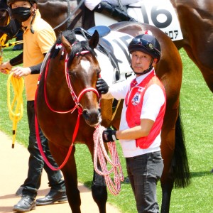 3歳未勝利　優勝　パドック