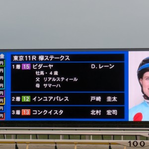 2025年5月