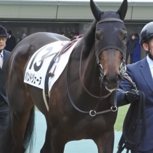 2024/2/4 3歳新馬