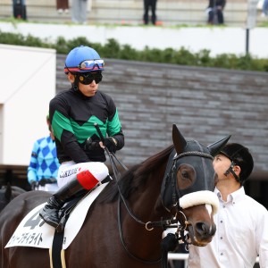 京都5R　メイクデビュー京都 パドック