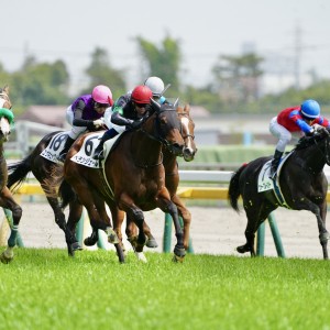 2024/4/20 3歳未勝利