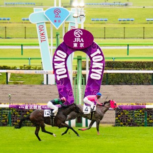 2023/10/9 2歳未勝利(牝)