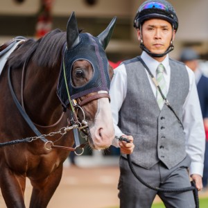 2024/1/7 3歳新馬