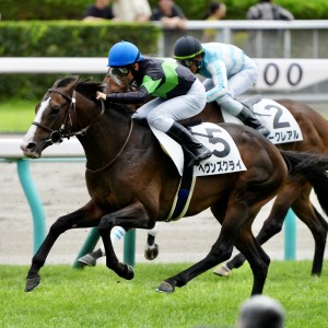 2024/8/18 3歳未勝利