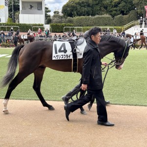 2024/1/7 3歳新馬
