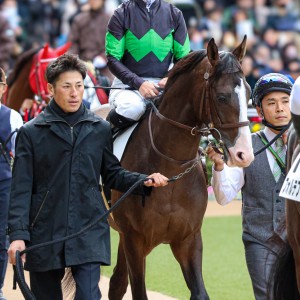 新馬戦パドック