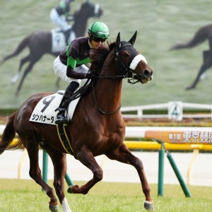 2025/2/16 4歳以上2勝クラス