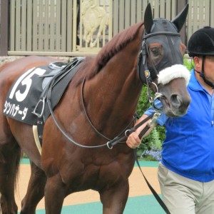 江ノ島S パドック