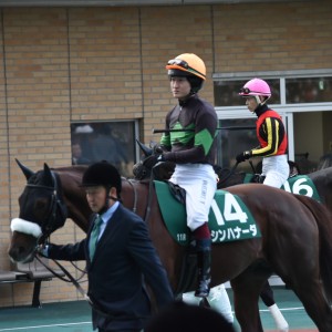 2025/12/13 中日新聞杯(G3)