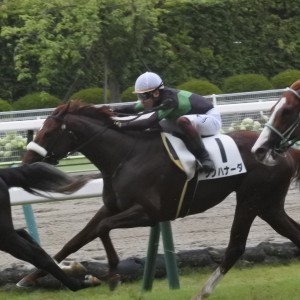 2024.7.6 福島4R 3歳未勝利