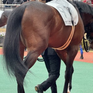 2024/3/24 3歳未勝利