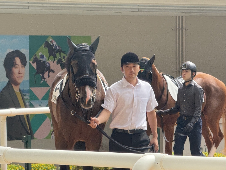 相棒と シャンパンポップ