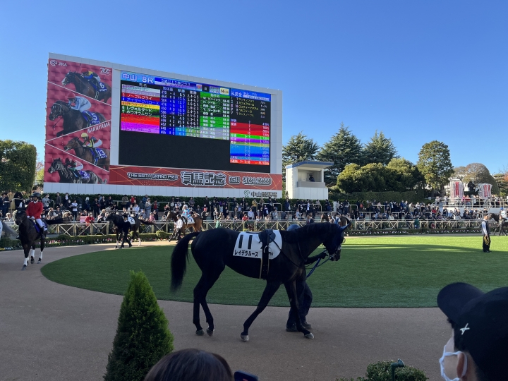 パドック レイデラルース