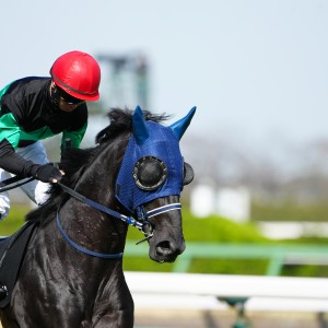 2024/3/30 山吹賞(1勝クラス)