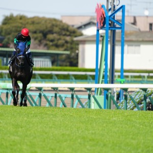 2024/3/30 山吹賞(1勝クラス)