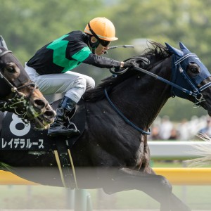 2024/4/20 新緑賞(1勝クラス)
