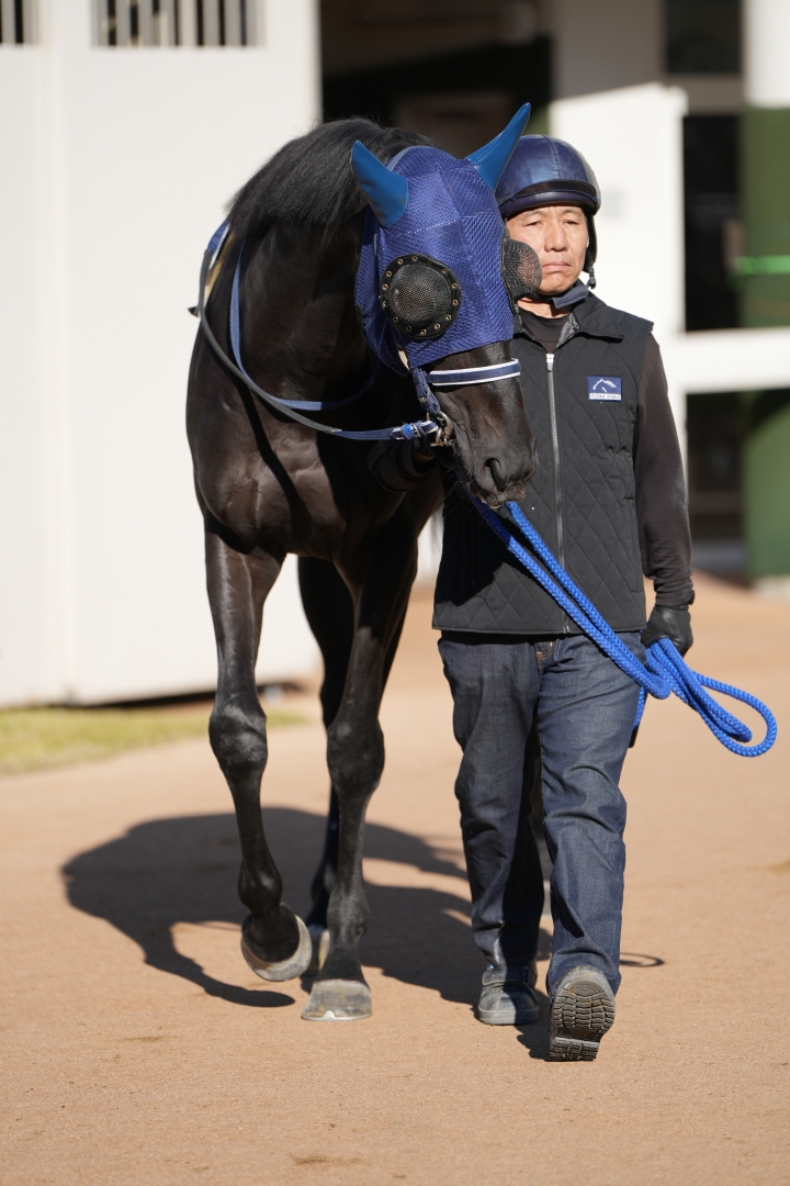 2024/12/1 3歳以上2勝クラス レイデラルース