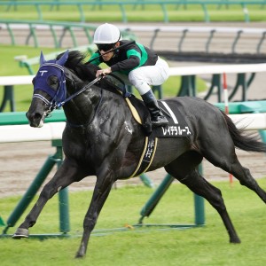 2024/9/21 九十九里特別(2勝クラス)