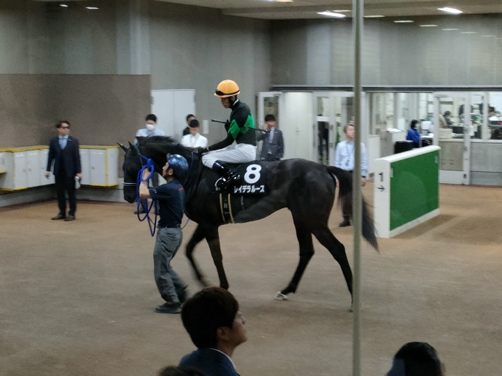 2024年4月 レイデラルース