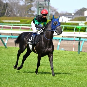 返し馬