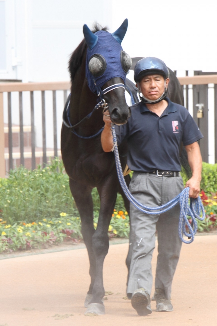 2023年9月 レイデラルース