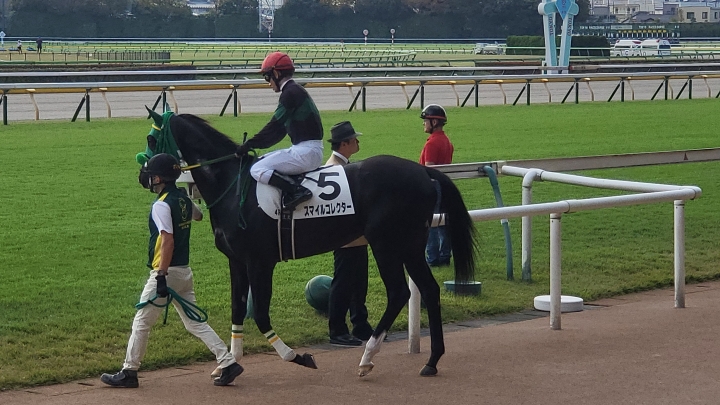 馬場入場 スマイルコレクター