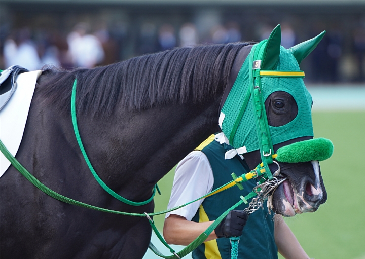 2023/10/28 2歳新馬(牝) スマイルコレクター