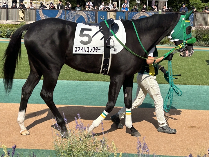 2023年10月 スマイルコレクター