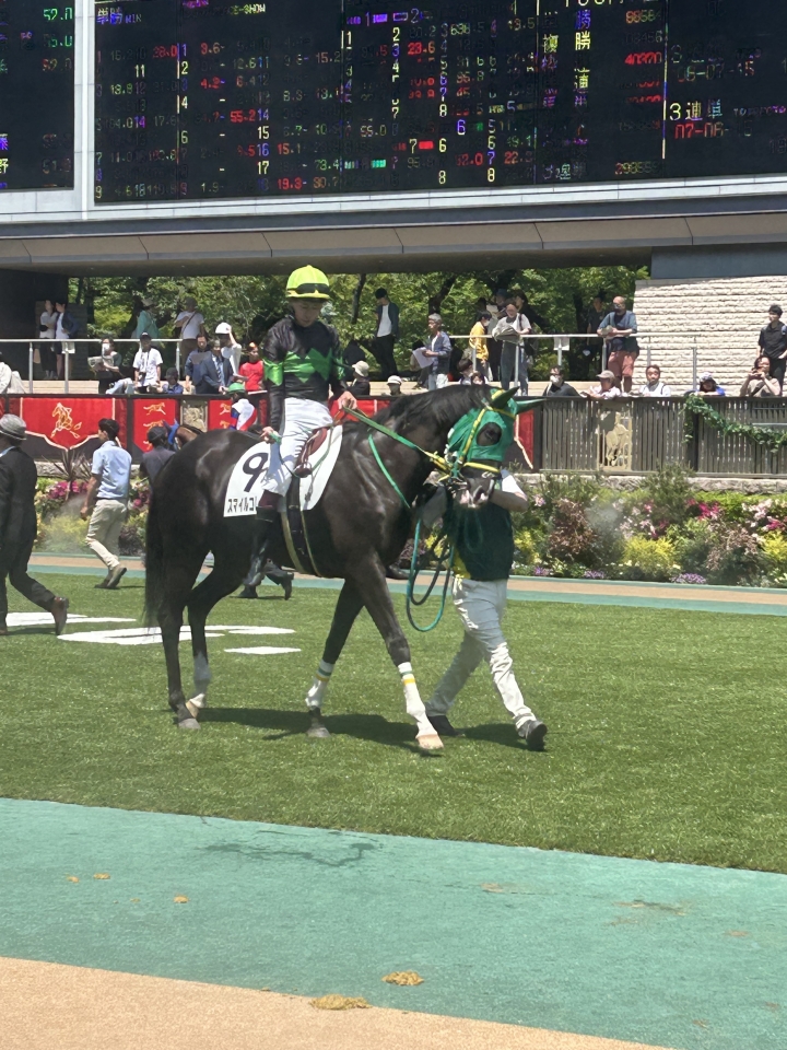 2024/4/28 3歳未勝利 スマイルコレクター