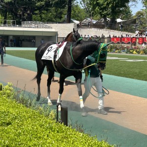 2024/4/28 3歳未勝利