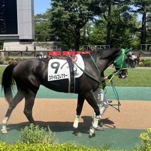 2024/4/28 3歳未勝利