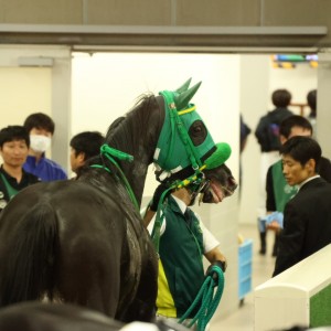 2023年10月