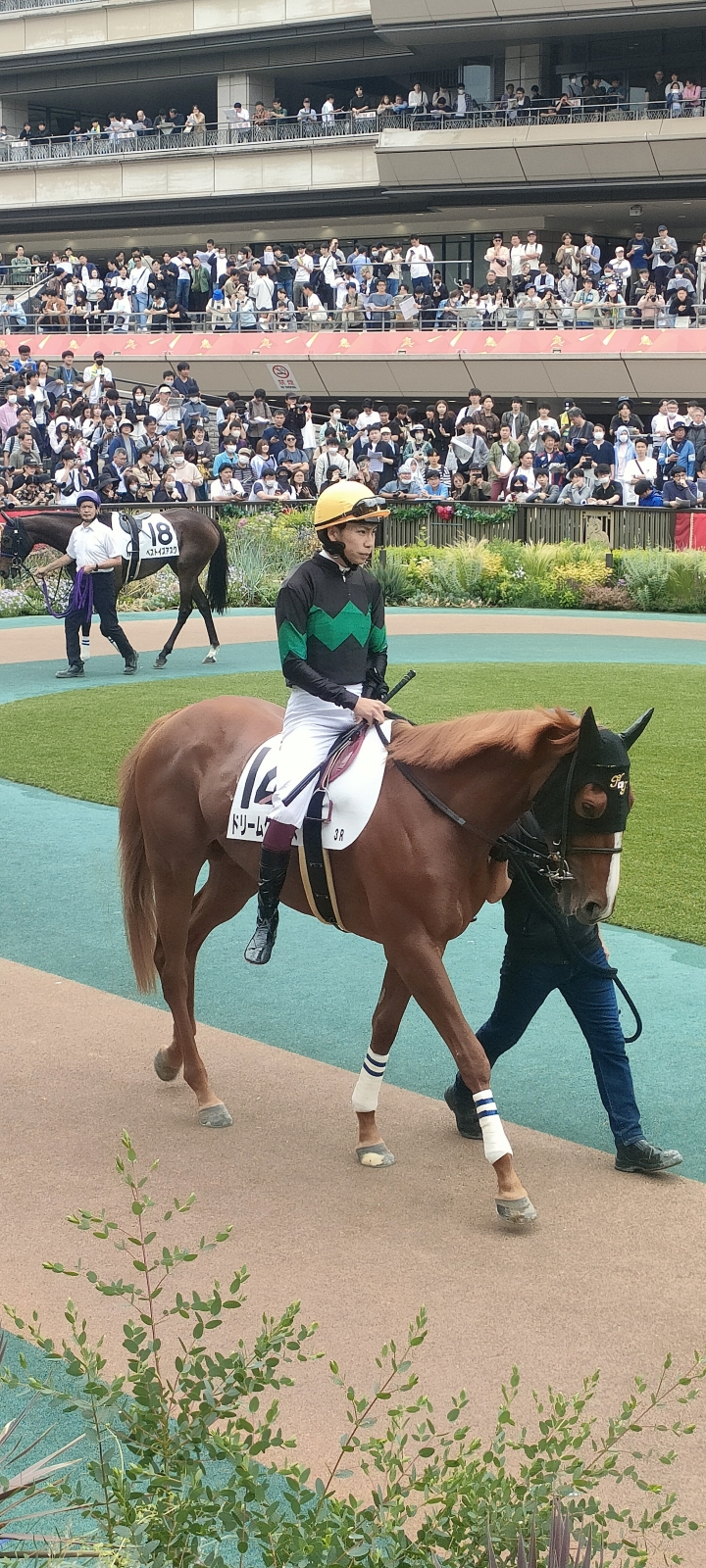 2024年6月 ドリームクルーズ