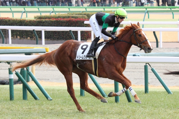 2024年2月 ドリームクルーズ