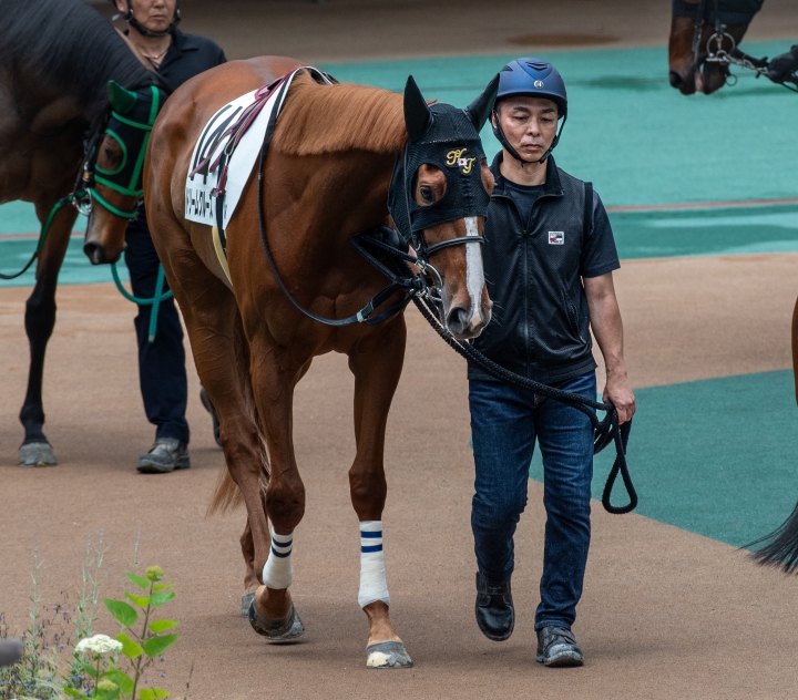 2024年6月 ドリームクルーズ
