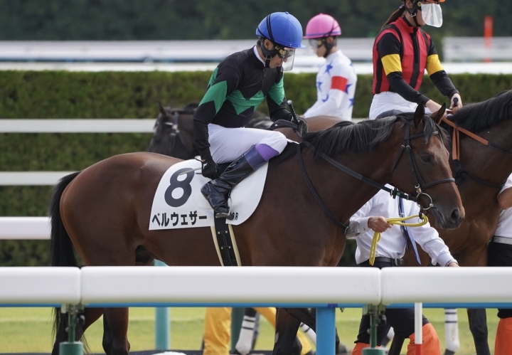 2023年10月 ベルウェザー