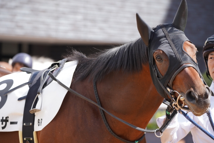 2023年10月 ベルウェザー