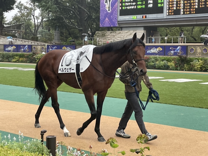 2024/10/5 3歳以上2勝クラス ベルウェザー