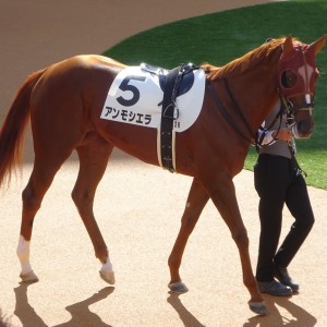 2023/10/15 京都 2歳未勝利